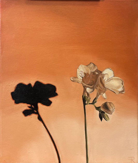 Warming Freesia